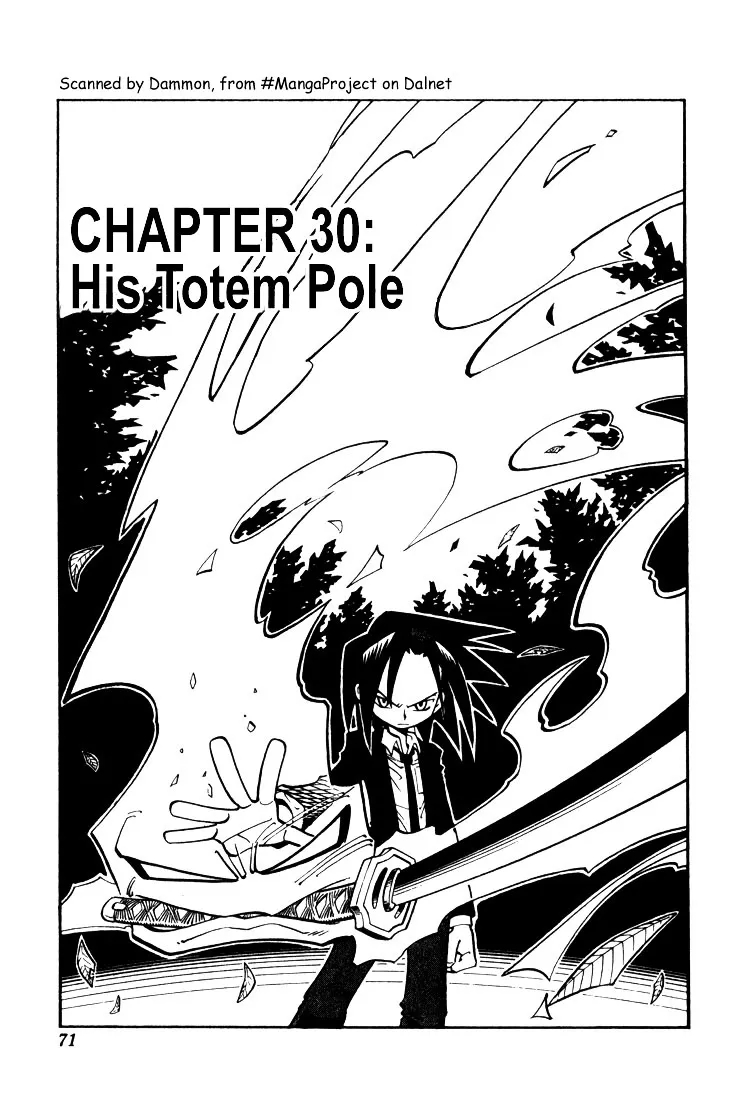 Shaman King Chapter 30 page 3 - MangaKakalot