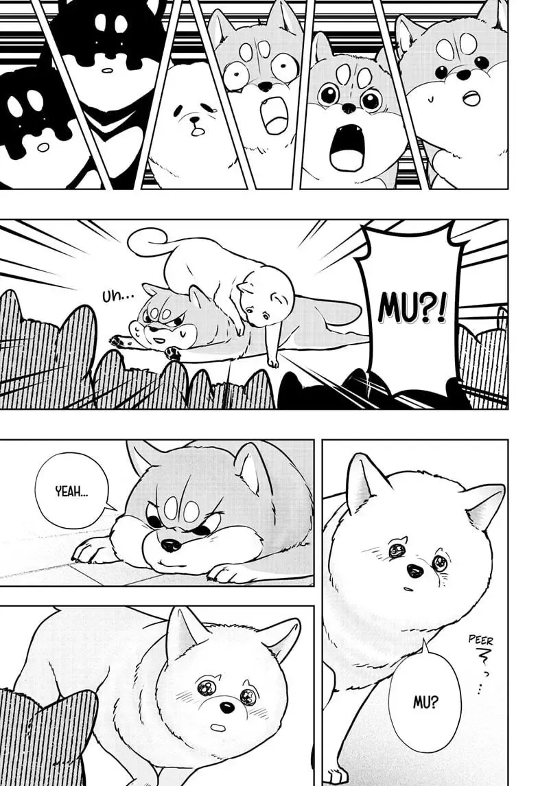 Shiba Inu Rooms Chapter 10 page 26 - MangaKakalot