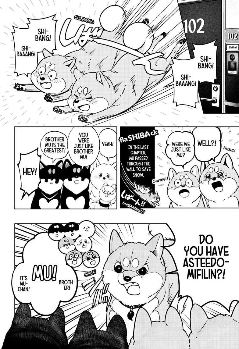 Shiba Inu Rooms Chapter 11 page 9 - MangaKakalot