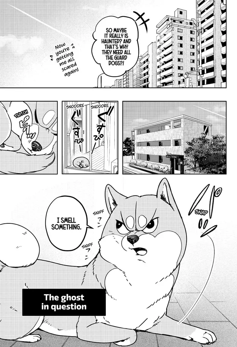 Shiba Inu Rooms Chapter 7 page 5 - MangaKakalot