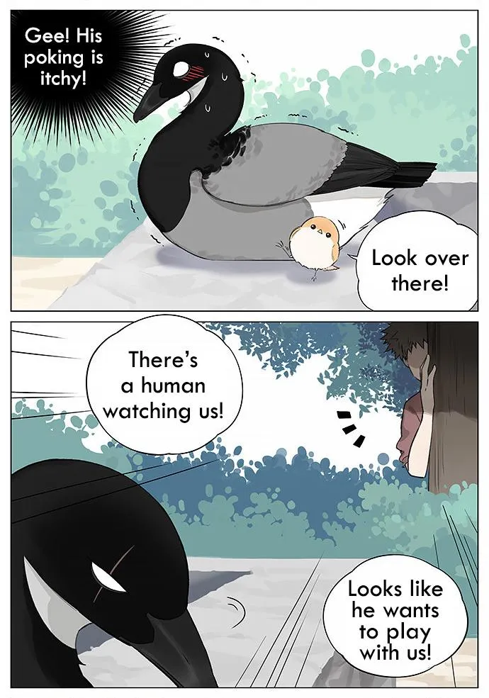 Southern Bird and Northern Bird Chapter 15 page 2 - MangaKakalot