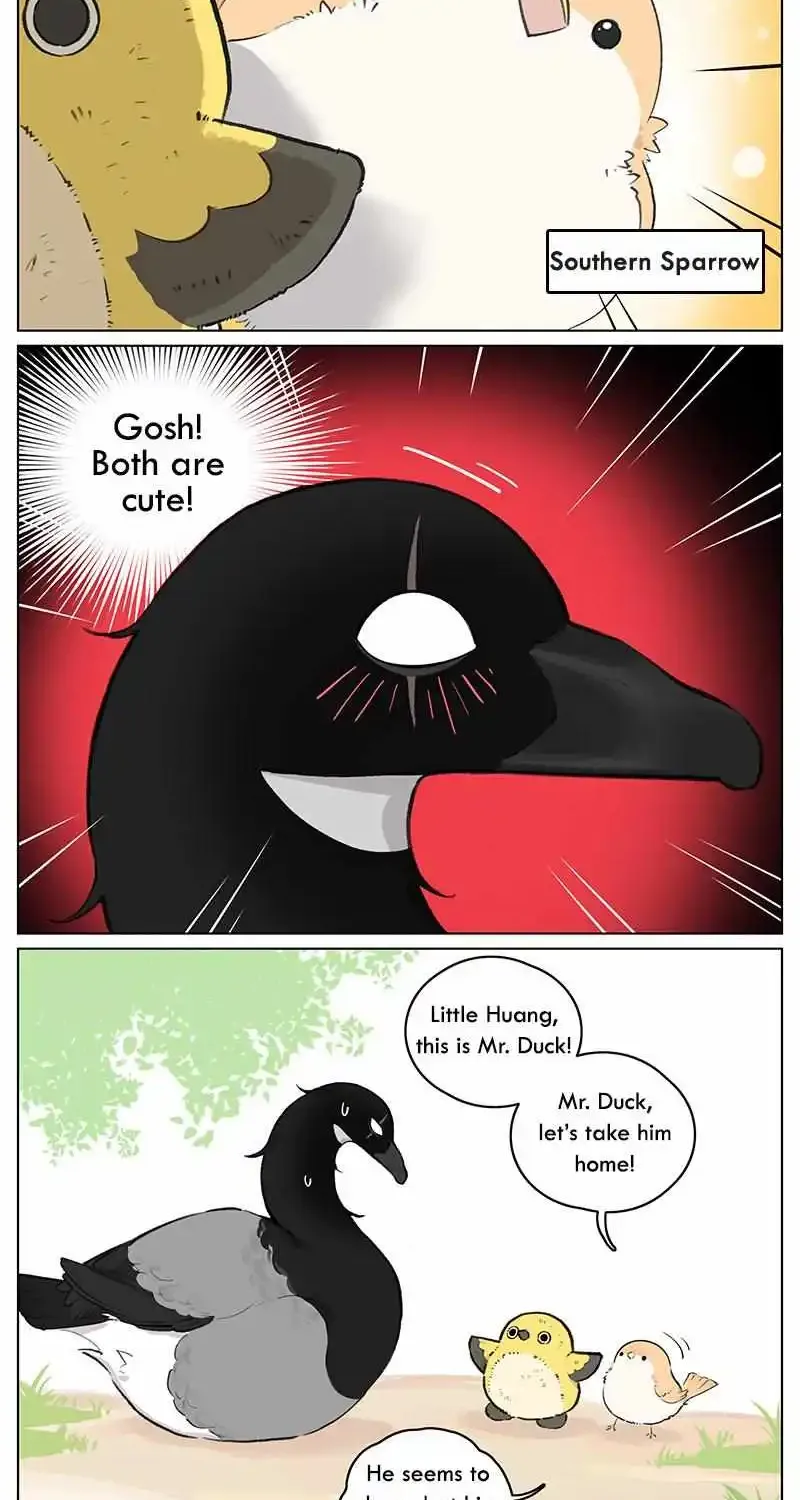 Southern Bird and Northern Bird Chapter 51 page 5 - MangaKakalot