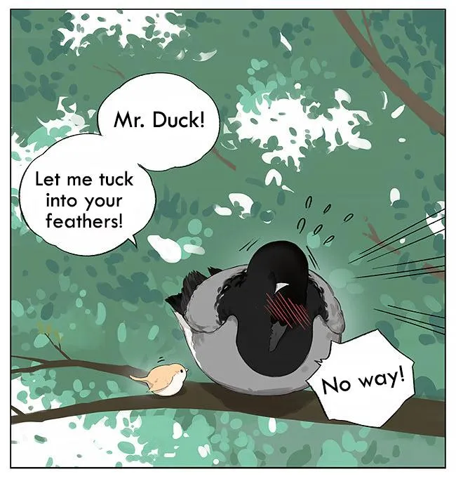 Southern Bird and Northern Bird Chapter 7 page 9 - MangaKakalot