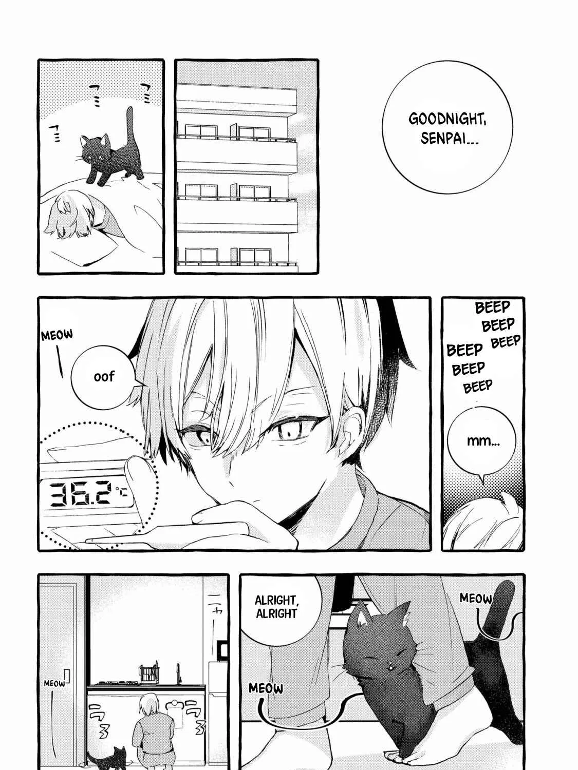 The Cold Beauty At School Became My Pet Cat Chapter 1 page 22 - MangaKakalot