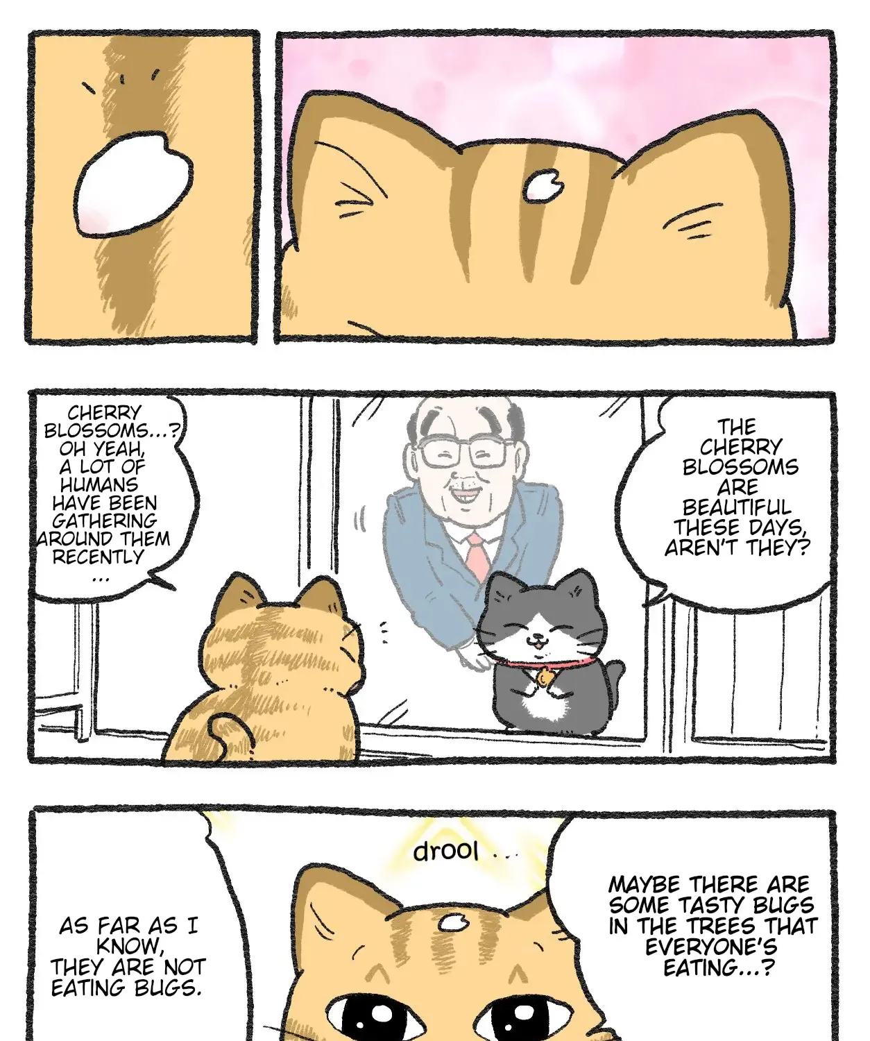 The Old Man Who Was Reincarnated As A Cat Chapter 430 page 3 - MangaKakalot