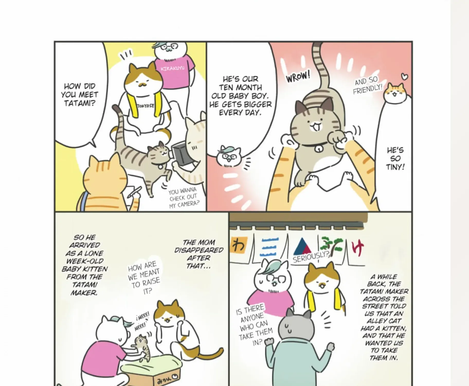 The Shop Cats Of Tokyo: A From Cat Avenue Chapter 11 page 8 - MangaKakalot