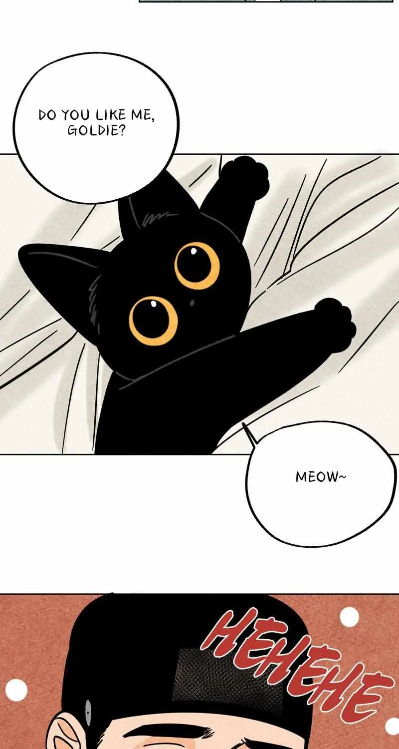 The Tale Of Goldiluck, The Black Kitten Chapter 42 page 44 - MangaKakalot