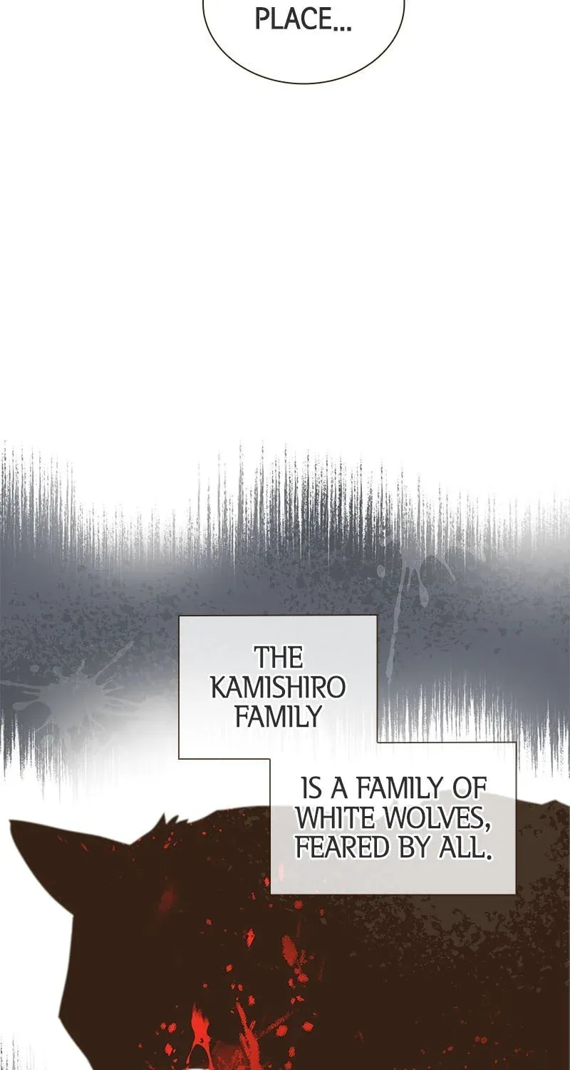 The White Wolf’S Bride Chapter 1 page 91 - MangaKakalot