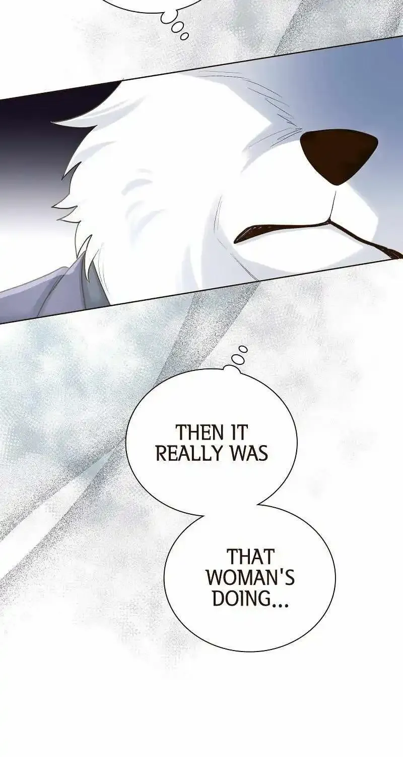 The White Wolf’S Bride Chapter 34 page 47 - MangaKakalot