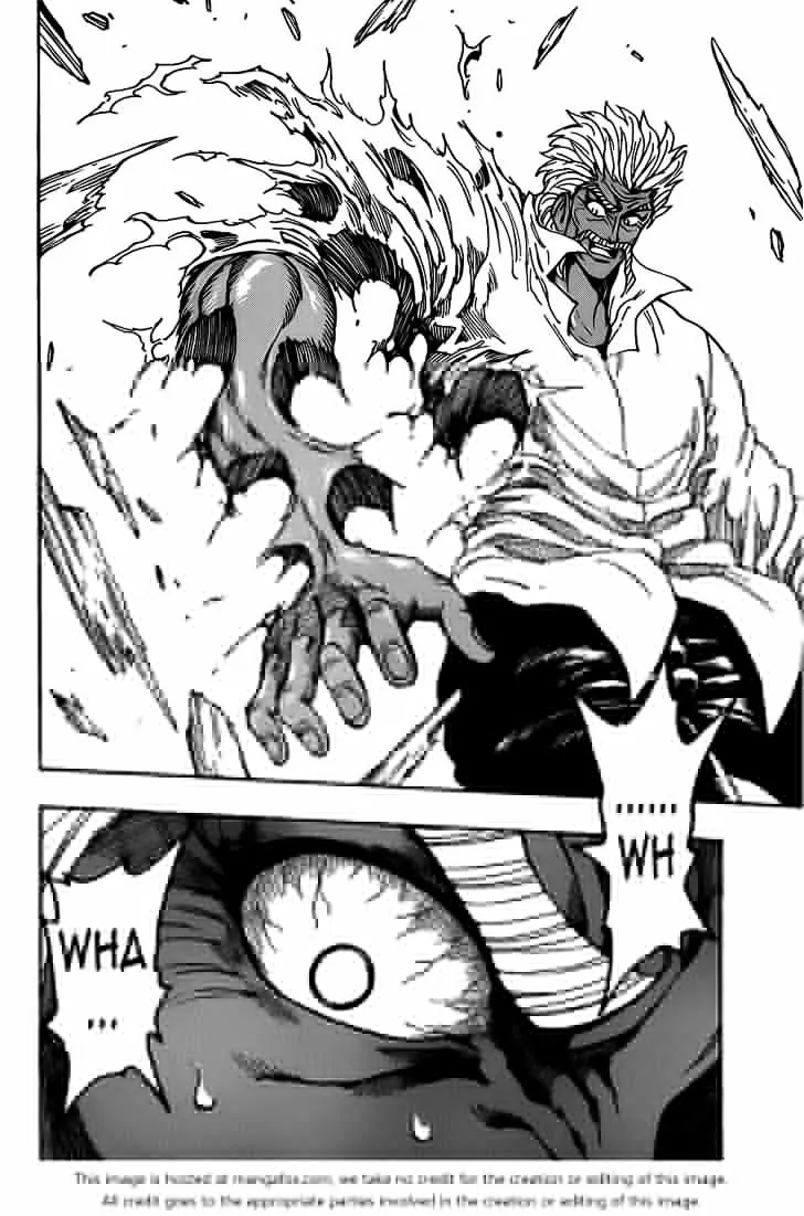 Toriko - Page 15