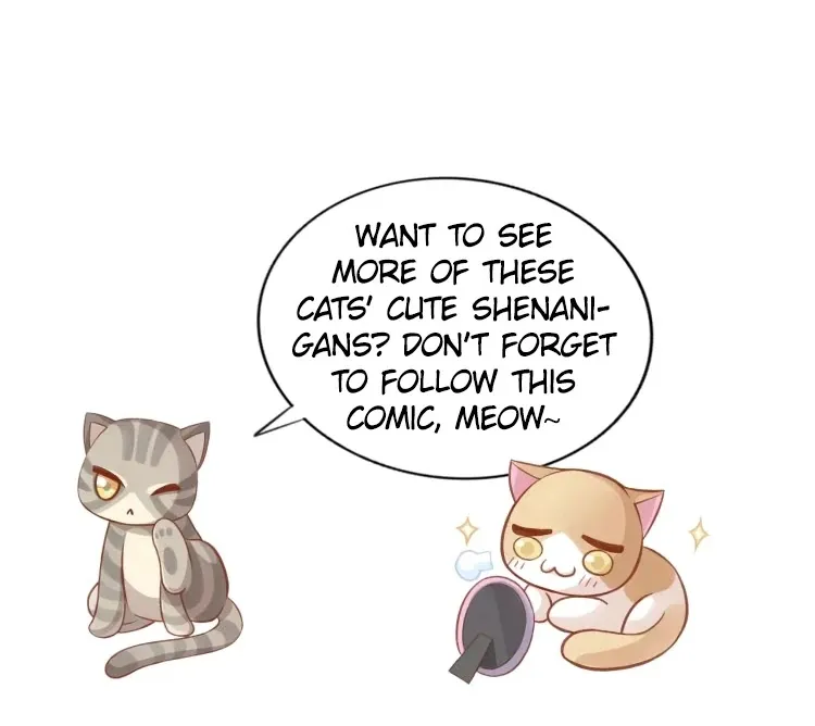 Under the Paws of Cats Chapter 19 page 54 - MangaKakalot