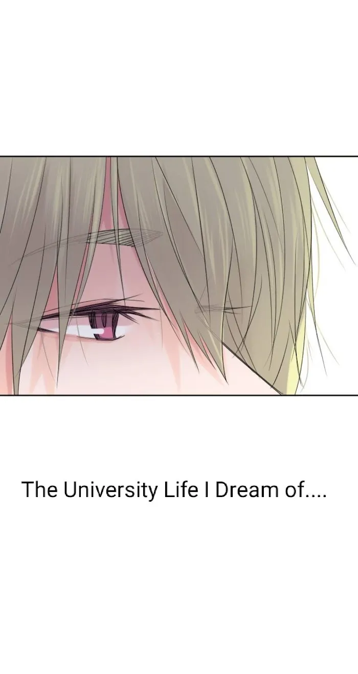 University Life I Dreamed Of… It