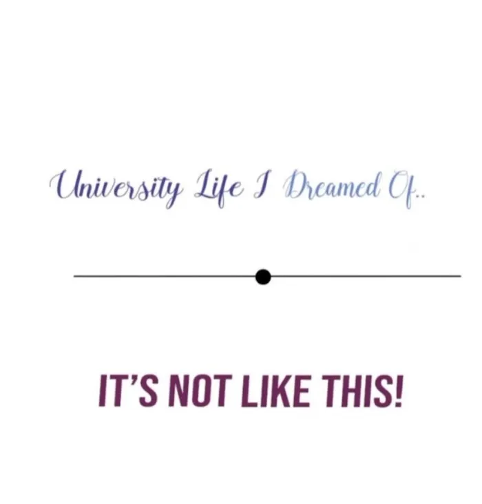 University Life I Dreamed Of… It