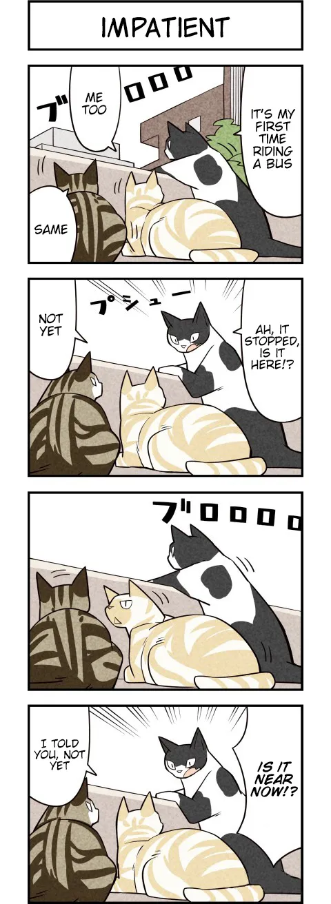 We are Cats Chapter 26 page 3 - MangaKakalot