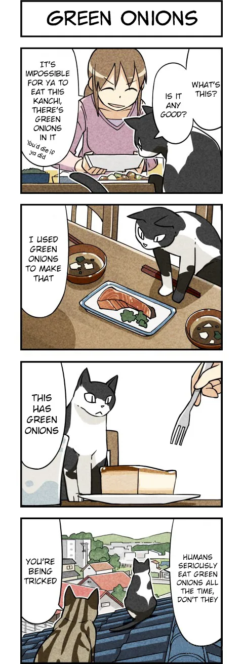 We are Cats Chapter 3 page 1 - MangaKakalot