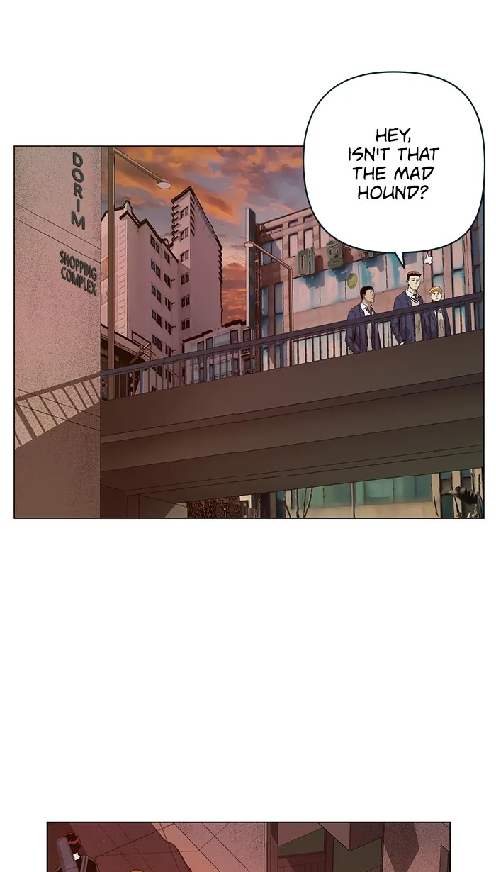 Weak Hero Chapter 139 page 86 - MangaKakalot