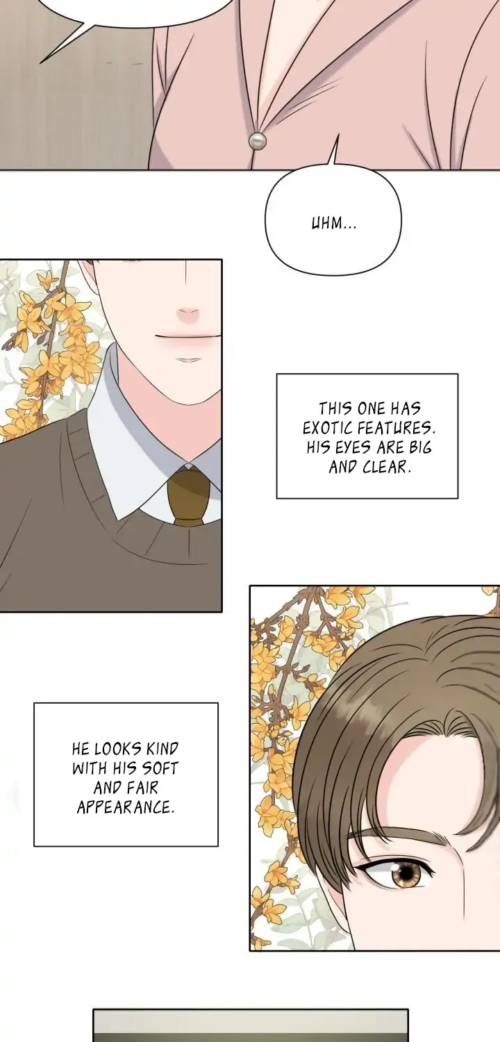 Which Alpha Do You Want? Chapter 3 page 13 - MangaKakalot