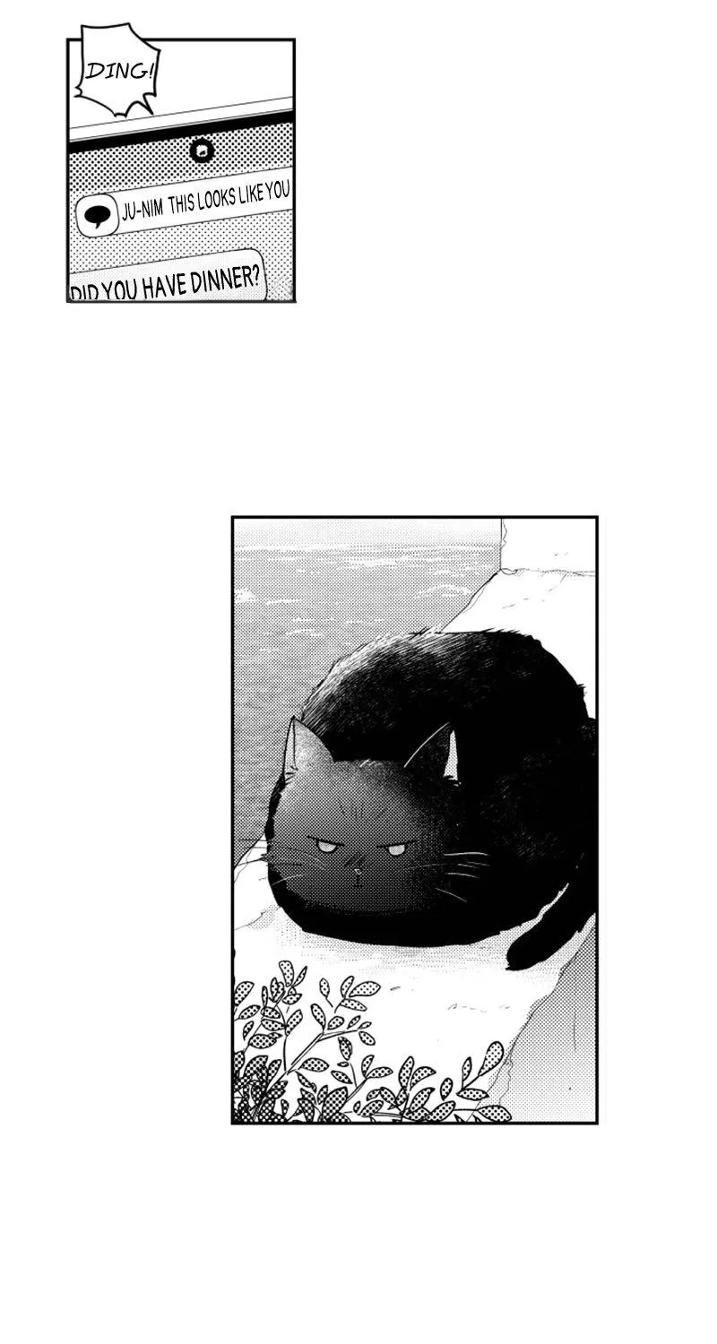 Who Is A Sweet Cheater? Chapter 102 page 43 - MangaKakalot