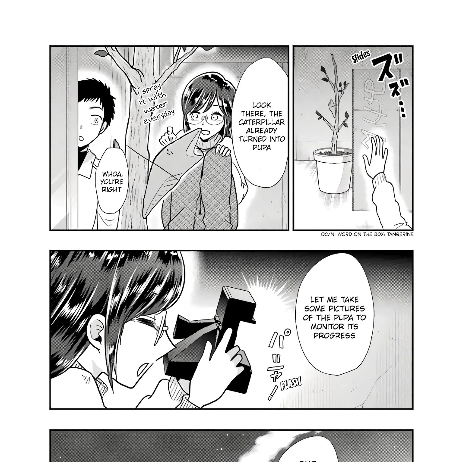 Yakumo-san wa Edzuke ga Shitai. - Page 22