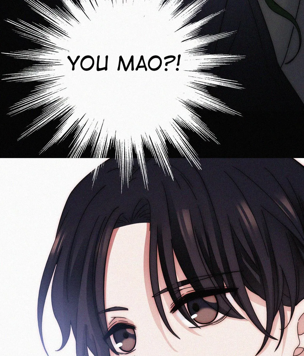 You Mao