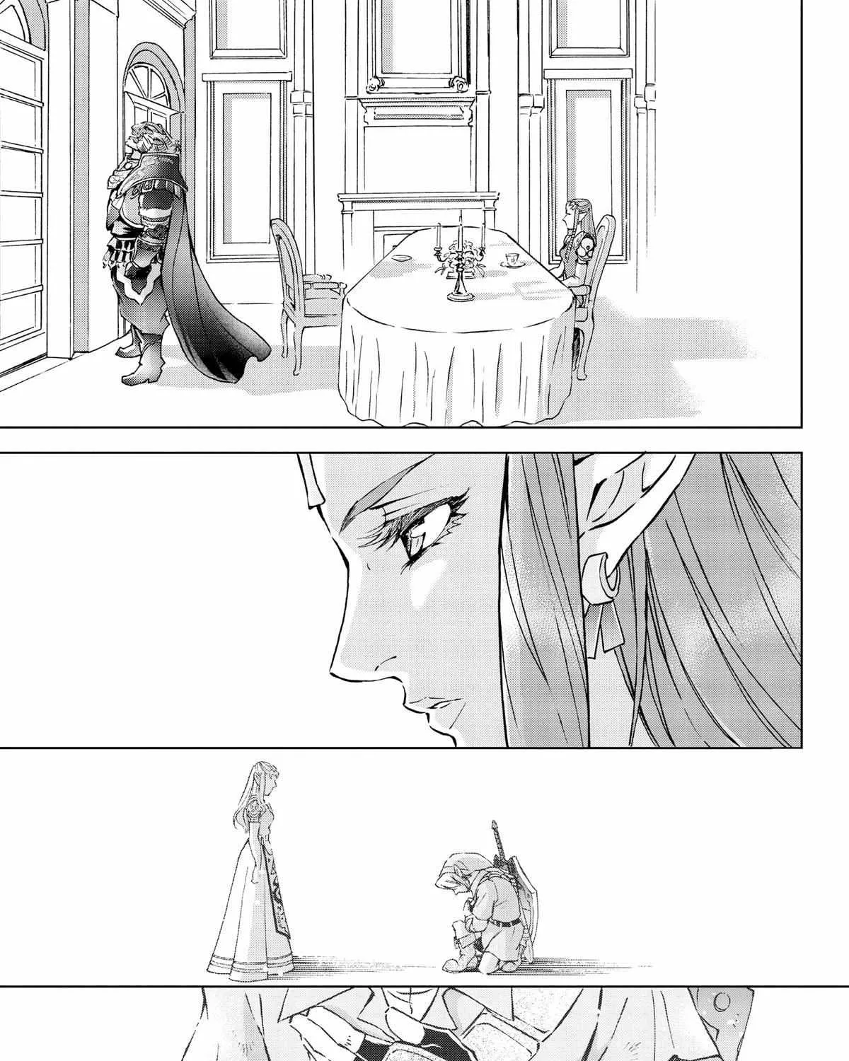 Zelda No Densetsu - Twilight Princess - Page 44